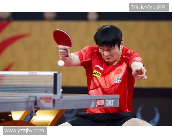 西安乒乓球队灵活性引发热议球迷与专家观点交锋激烈